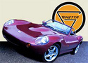 GINETTA
