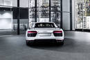 Audi R8 V10 plus selection 24h
