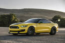 Ford Mustang GT350 Ole Yeller