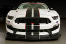 Ford Mustang Shelby FP350S