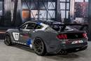 Ford Mustang GT4 - Crédit photo : Ford Performance