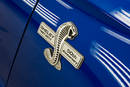 Shelby American Super Snake 50th Anniversary