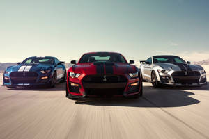 Ford Mustang Shelby GT500 : 290 km/h en pointe