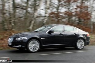Jaguar : bientôt toute la gamme en 4x4