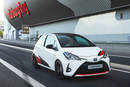 Toyota va recréer le Nürburgring au Japon