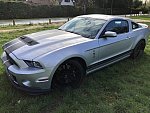 FORD MUSTANG V (2005 - 2014) Serie 2 Shelby GT500 coupé Gris clair