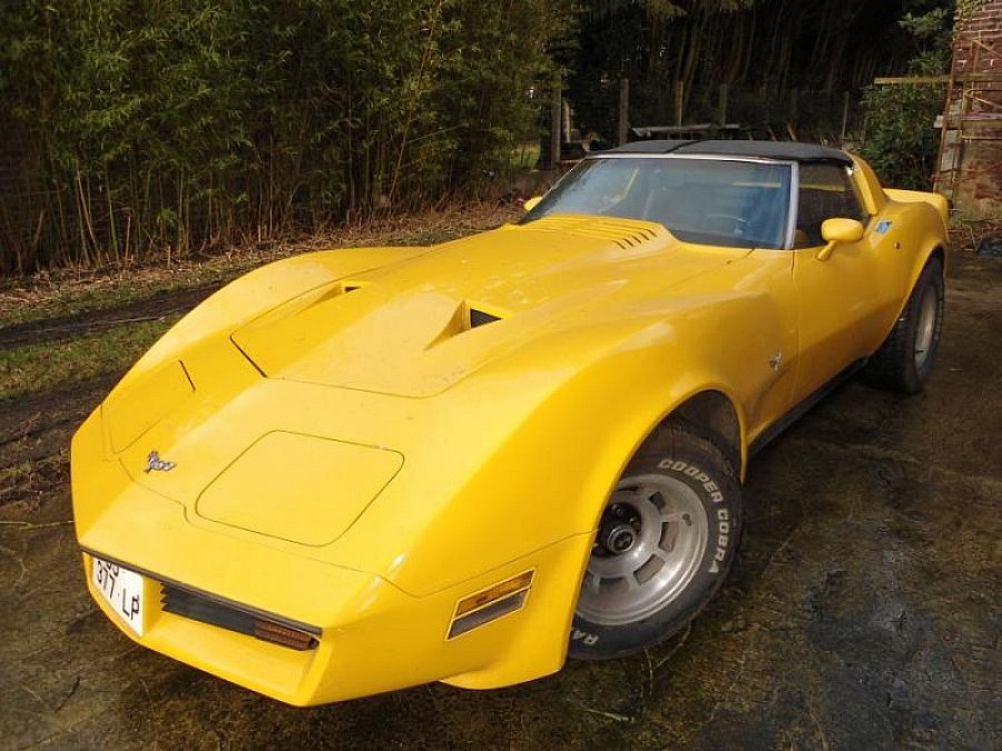 CHEVROLET CORVETTE C3 5.7 Small Block V8 (350ci) targa 1979