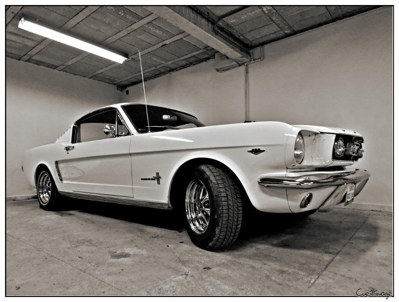 FORD MUSTANG I (1964-73) 4.7L V8 (289 ci) coupé 1965