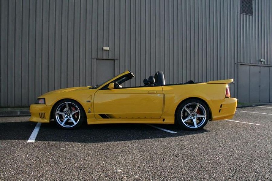 FORD MUSTANG IV (1994-04) cabriolet 2004