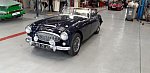 AUSTIN HEALEY 3000 Mk3 BJ8 cabriolet 1965