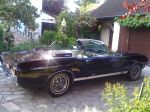 FORD MUSTANG I (1964-73) 4.7L V8 (289 ci) cabriolet 1967