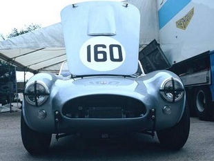 AC Cobra 289 - - Page 2.com