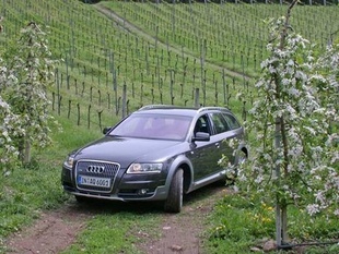 AUDI Allroad V6 3.0l TDI