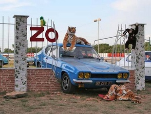 Grand Prix de l’Age d’Or 2006