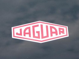 JAGUAR XJ 13