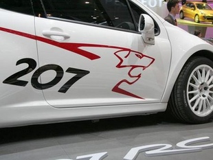 PEUGEOT 207 RCup