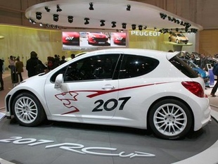 PEUGEOT 207 RCup