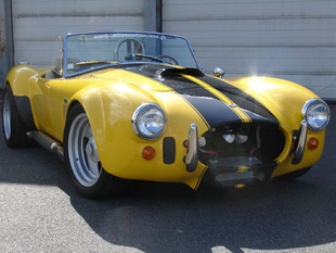SHELBY Cobra 427 - Vente Artcurial du 13 avril 2008 .com