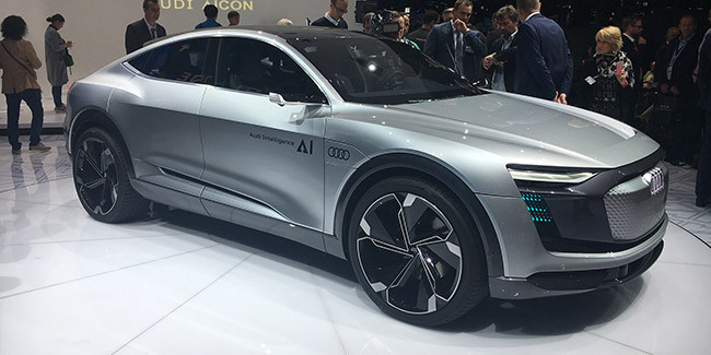 AUDI Elaine