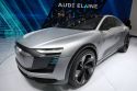 AUDI Elaine