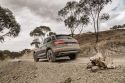 AUDI Q5 2.0 TDI 190 ch quattro S tronic 7 Design Luxe