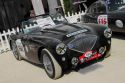 Austin Healey 100 M