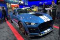 Ford Mustang Shelby GT 500