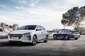 17e : Hyundai Ioniq Electric : 311 km