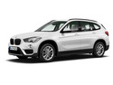 BMW X1 (F48) xDrive25d