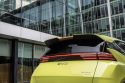 BYD Dolphin Surf