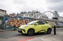 BYD Dolphin Surf