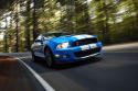 Ford Mustang GT 500 Shelby (540 ch)
