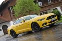 FORD MUSTANG Fastback V8 GT