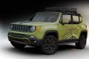 Jeep Renegade Mopar