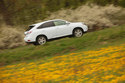 LEXUS RX 450h