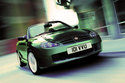 mg F