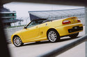 mg F