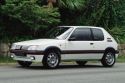 Peugeot 205 GTI (1984)