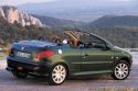 Peugeot 206 CC Roland Garros