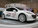 PEUGEOT 207 RCup