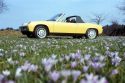 Porsche 914-6 (1969)