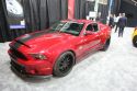 Shelby GT500 SuperSnake Widebody