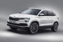 SKODA Karoq 1.5 TSI 150 ch Style DSG