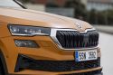 SKODA Karoq 2.0 TDI 150 ch