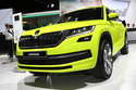 Mondial de l'Automobile 2016 : SKODA Kodiaq