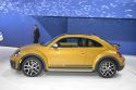 Volkswagen Beetle Dune