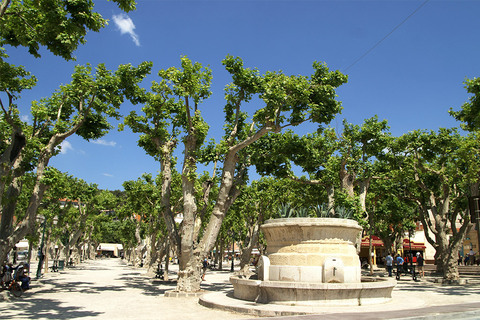 La Place des Lices, Saint-Tropez 