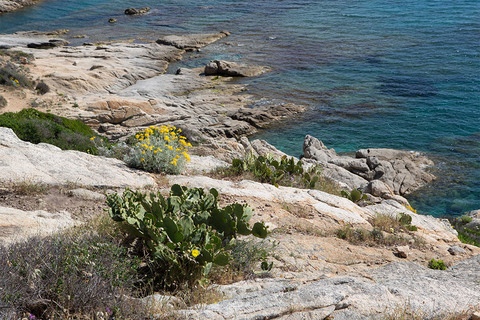 La Réserve Ramatuelle (Ramatuelle) – Au KM 10 – Temps de trajet : 15 min