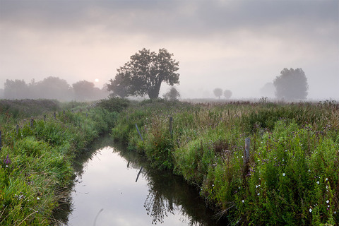 Le Marais Vernier, une faune et une flore extraordinnaire qui s’étend sur plus de 4500 ha. 