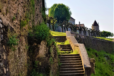 Suivez les petites grenouilles en bronze pour découvrir la ville d’Avallon et ses rues si typiques.